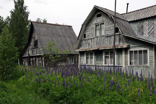 Casas abandonadas en los suburbios de san petersburgo Rusia en verano