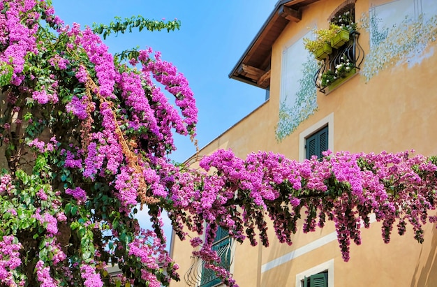 Casas antiguas en una calle de riva del garda en italia