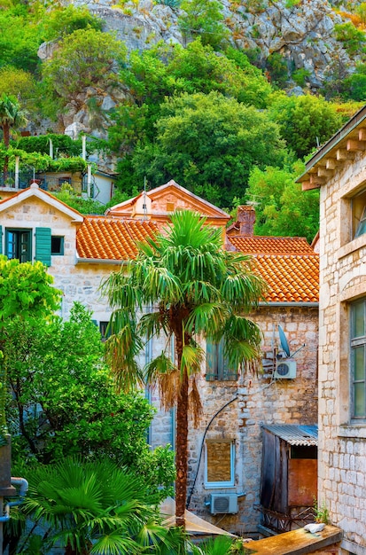 Casas antiguas en Kotor