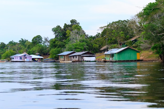 Casas ao longo do panorama brasileiro do Rio Amazonas