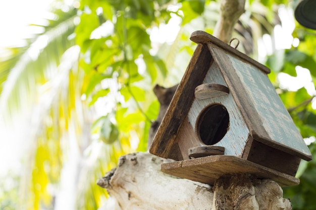 Casas de aves