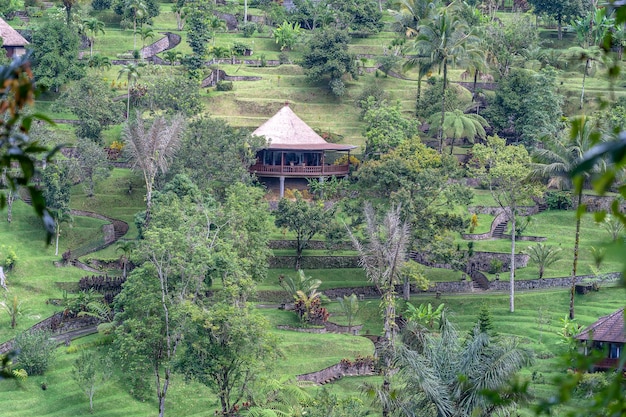 Casas balinesas tradicionales con vistas panorámicas a la selva tropical y las montañas de la isla de Ubud, Bali, Indonesia, establecimiento de tiro