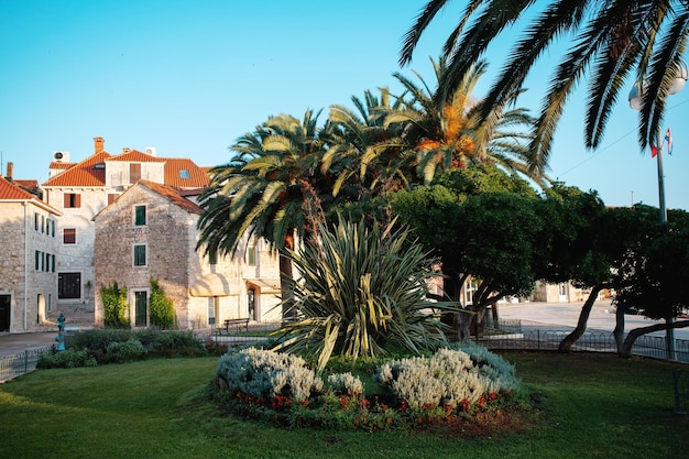 Casas beige con techos naranjas en el fondo de un denso césped de flores con hierbas y palmeras Cielo azul sin nubes y clima soleado Paseo inspirador cerca de la mini plaza verde en la ciudad de Supetar Croacia