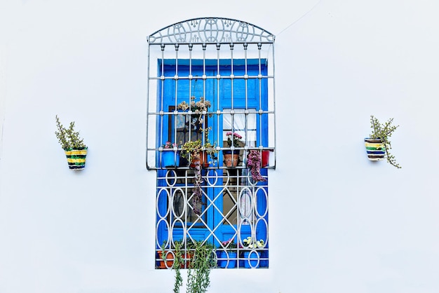 Casas brancas típicas com janelas e portas azuis na bela cidade de Nijar, Almeria, Andaluzia