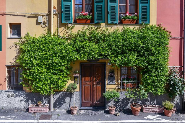 Casas coloridas en el antiguo pueblo de pescadores con una estrella en ascenso jazmín boccadasse genova liguria