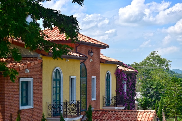 Casas coloridas fachadas con árboles