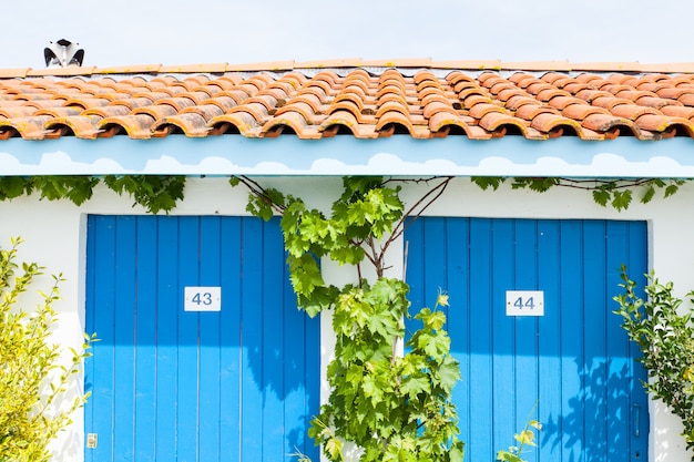 Foto casas coloridas de ostreros o pescadores en la bahía de arcachon