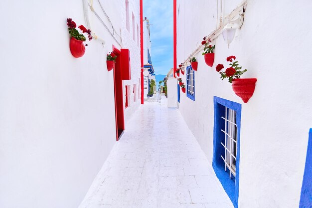 Casas com vasos de flores vermelhas em paredes brancas na rua Egeu em Bodrum Turquia