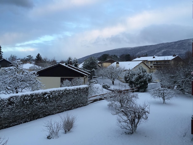 Casas cubiertas de nieve durante el invierno