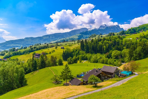 Casas de madeira em campos verdes agarra Werdenberg St Ga