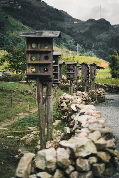 Casas de pássaros em uma aldeia rural