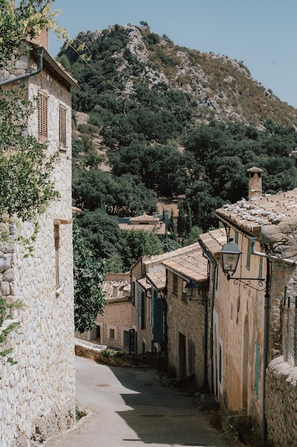 Casas e árvores por edifícios na cidade