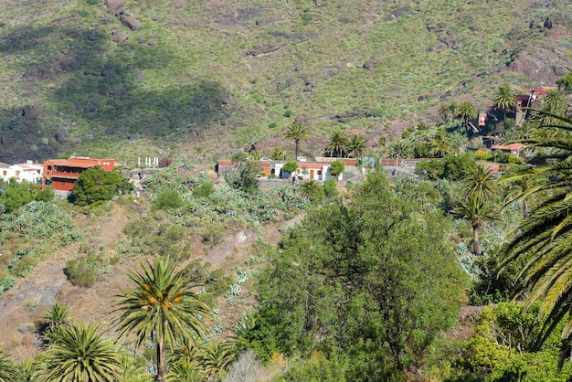 Casas em uma colina perto do desfiladeiro de almíscar na ilha de Tenerife