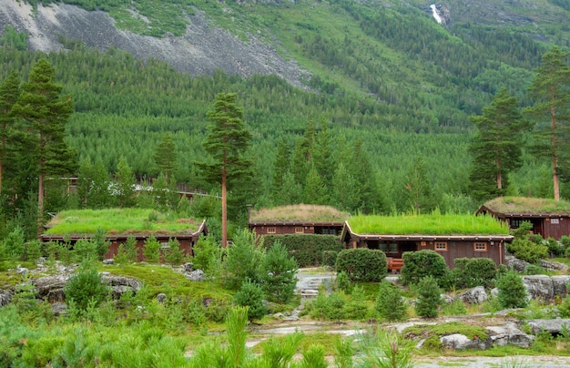 casas escandinavas tradicionales con techos cubiertos de hierba y musgo
