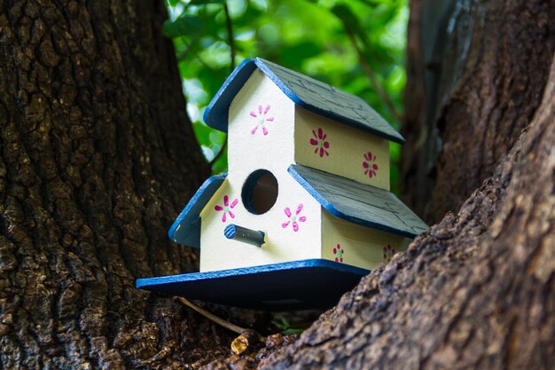 Foto casas feitas à mão para pássaros pintadas à mão no tronco da árvore na primavera