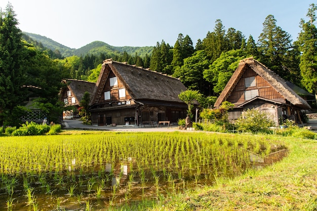 Casas Gasso en Shirakawa-go, Japón