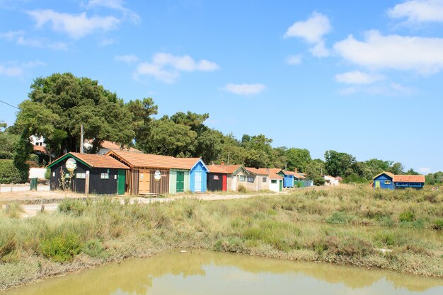 Casas junto a árvores contra o céu