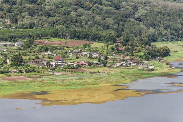 Casas junto al río contra los árboles