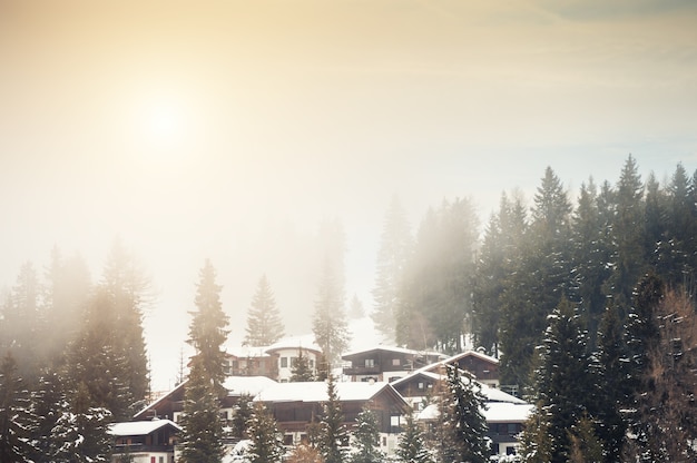 Casas de madera en el bosque de invierno en la mañana brumosa. Alpes Dolomitas, Italia. Hermoso paisaje de invierno