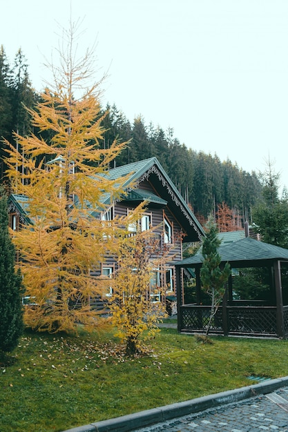 Casas de madera cerca del bosque