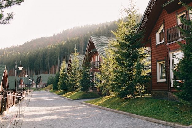 Casas de madera cerca del bosque