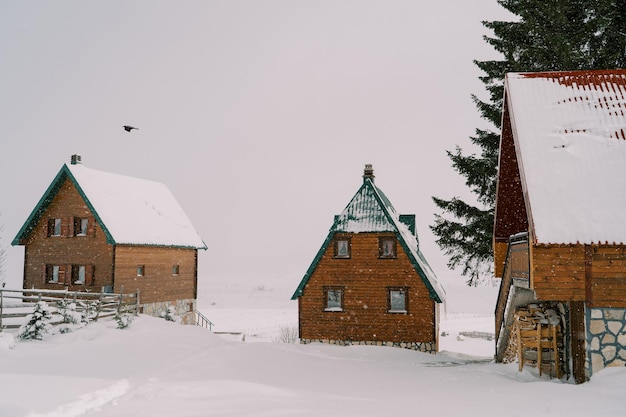 Casas de madera en un pueblo nevado y brumoso