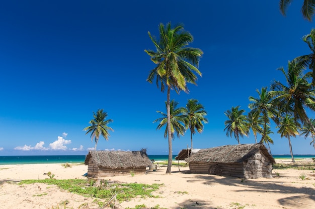 Casas en mar tropical