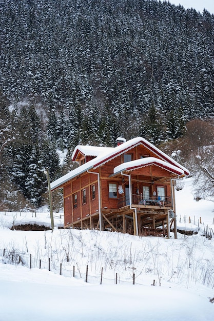 Las casas de montaña de madera en invierno bajo la nieve en Giresun Turquía