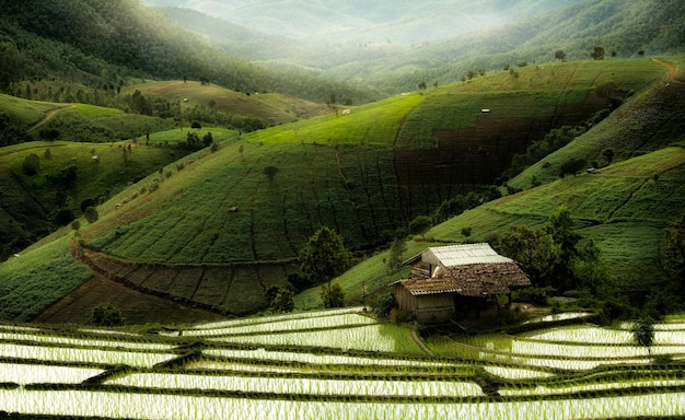 Casas montañas y campos de arroz de la naturaleza en Chiang Mai.