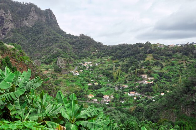 Casas na madeira, portugal