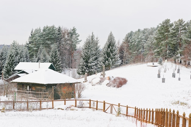 Casas bajo la nieve cerca del bosque en el campo en Navidad