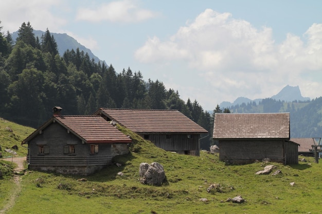 Casas no campo por árvores contra o céu