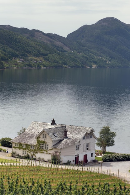 Casas noruegas tradicionales de pie en la orilla del fiordo norwayxA