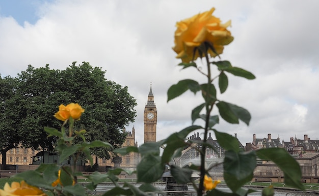 Casas del Parlamento en Londres