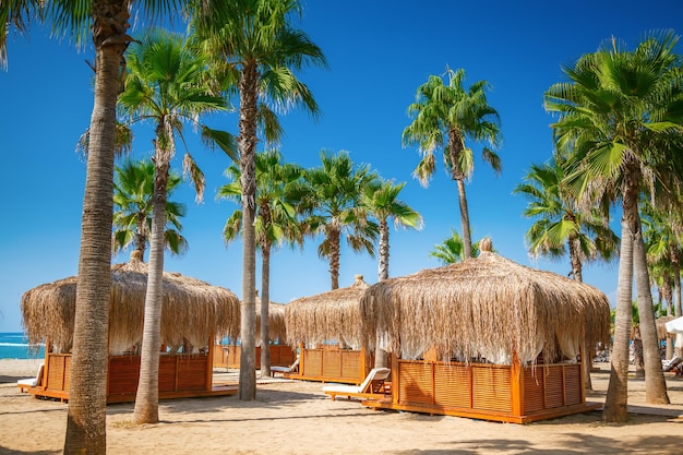 Casas de playa - bungalows y palmeras en la playa de un resort turco