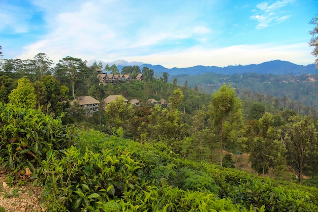 Las casas del pueblo alrededor de Little Adam's Peak Ella Sri Lanka Cielo azul con espacio para copiar texto