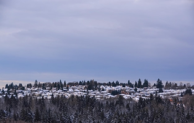 Casas residenciales en la nieve en temporada de invierno en Canadá