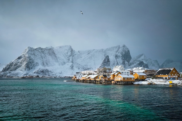 Casas rorbu amarillas, islas Lofoten, Noruega