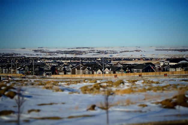 Casas suburbanas do desenvolvimento residencial em calgary