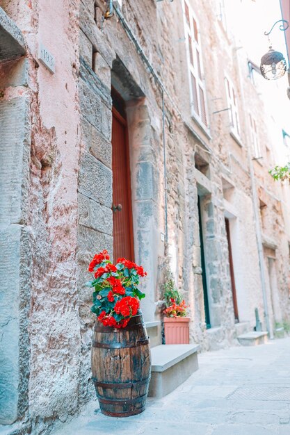 Casas típicas en una pequeña ciudad de Liguria