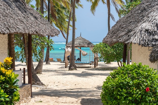 Casas tropicais e coqueiros em uma praia de areia perto do mar em dia ensolarado na ilha de Zanzibar Tanzânia África