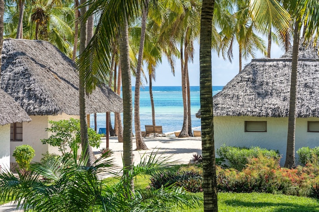 Casas tropicales y palmeras de coco en una playa de arena cerca del mar en un día soleado en la isla de Zanzíbar, Tanzania, África Oriental