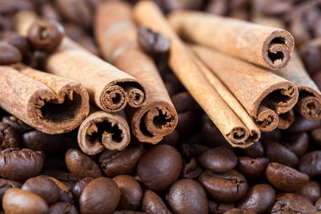 Casca de canela torcida com grãos de café torrados, close-up, profundidade de campo muito rasa