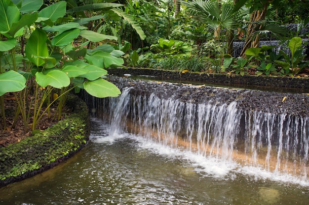 Cascada de agua artificial y plantas verdes en el jardín botánico de Singapur