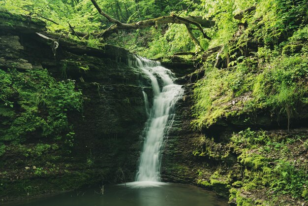 Cascada de alta montaña