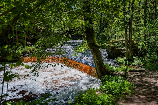 Foto cascada de ámbar nommeveski cascada sobre el río valgejogi en el parque nacional lahemaa estonia