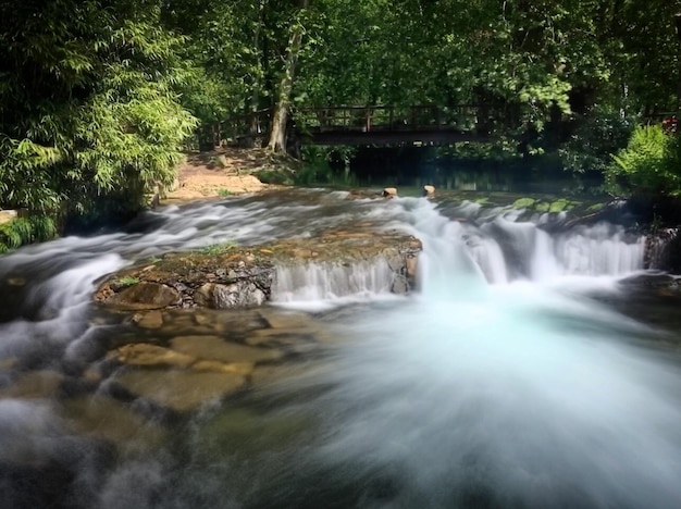 Una cascada con un árbol al fondo y un hombre nadando en el agua.