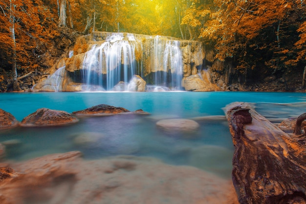 Cascada con árbol en el bosque de otoño