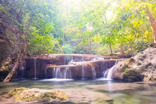 Cascada en árboles verdes del paisaje tropical en bosque salvaje de la selva