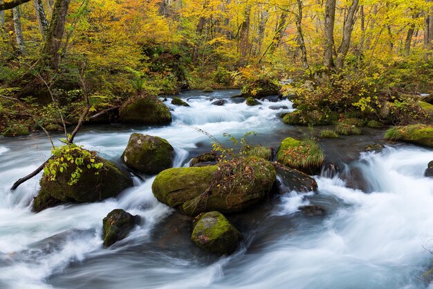 Cascada en el arroyo Oirase en Towada